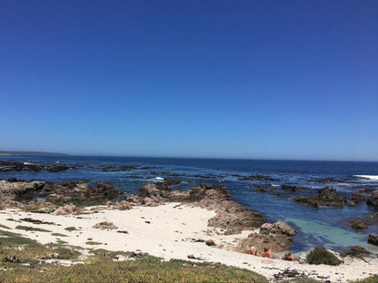 Marine 5 Guest House De Kelders Western Cape South Africa Beach, Nature, Sand, Ocean, Waters