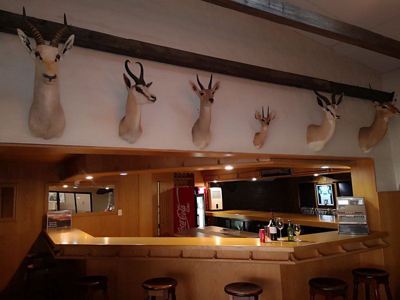 Merino Inn Colesberg Northern Cape South Africa Deer, Mammal, Animal, Herbivore, Bar