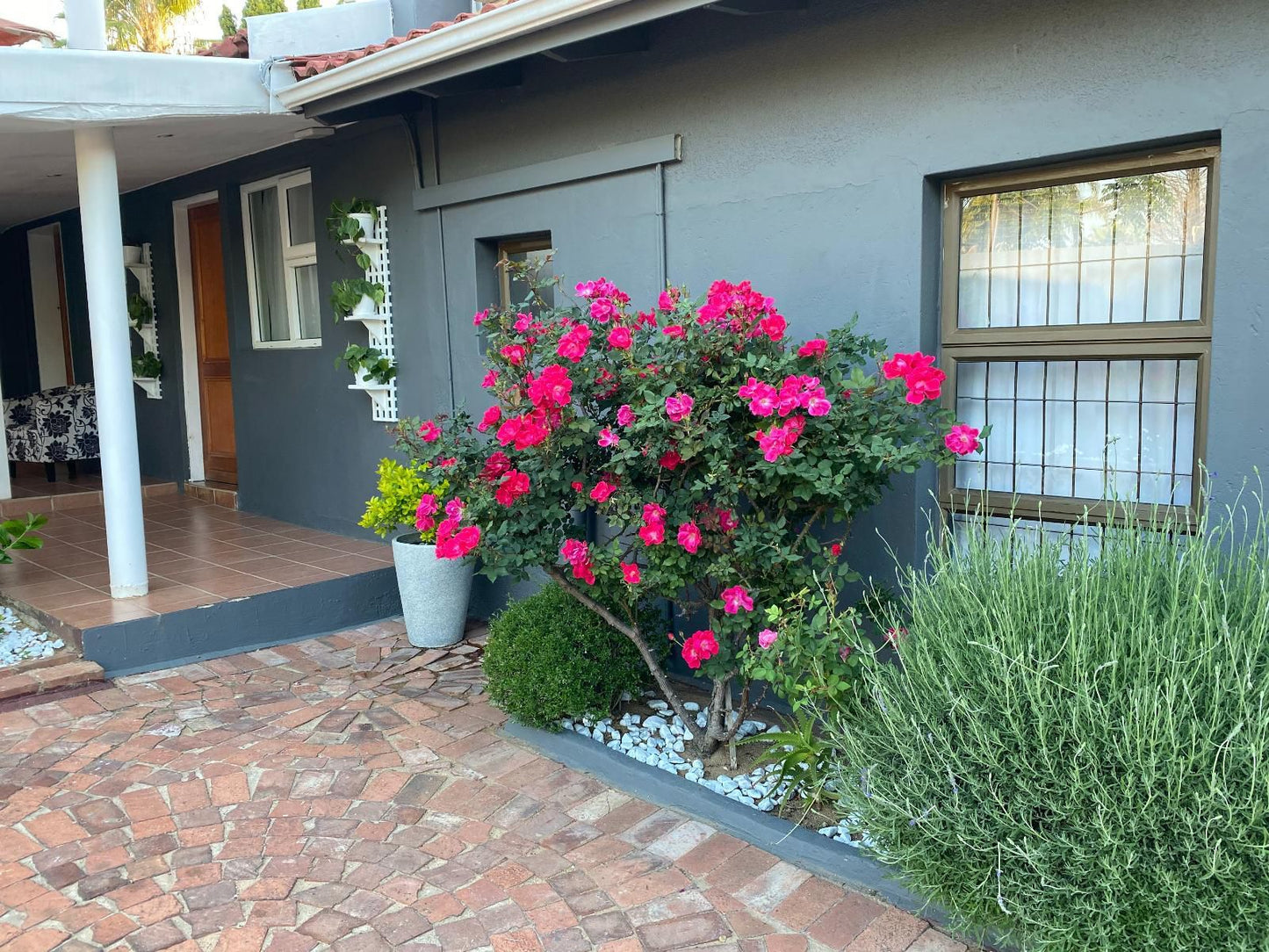 Marion Lodge Sandown Johannesburg Gauteng South Africa House, Building, Architecture, Plant, Nature, Garden