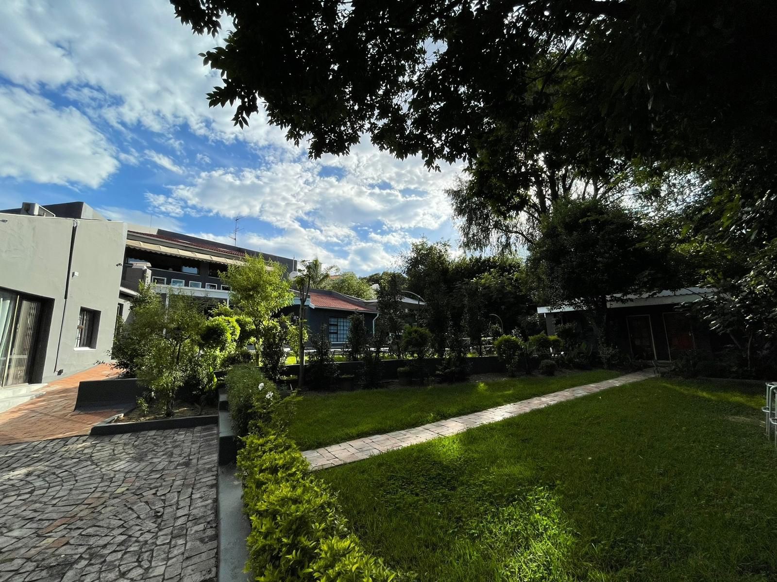 Marion Lodge Sandown Johannesburg Gauteng South Africa House, Building, Architecture, Palm Tree, Plant, Nature, Wood