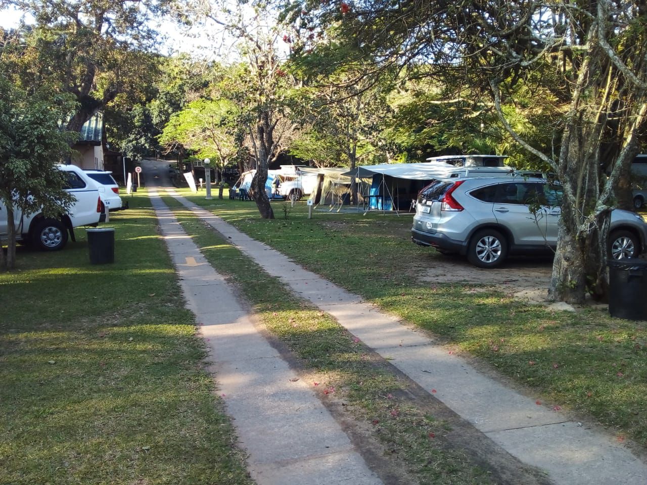 Marlon Holiday Resort Sunwich Port Kwazulu Natal South Africa Palm Tree, Plant, Nature, Wood, Car, Vehicle