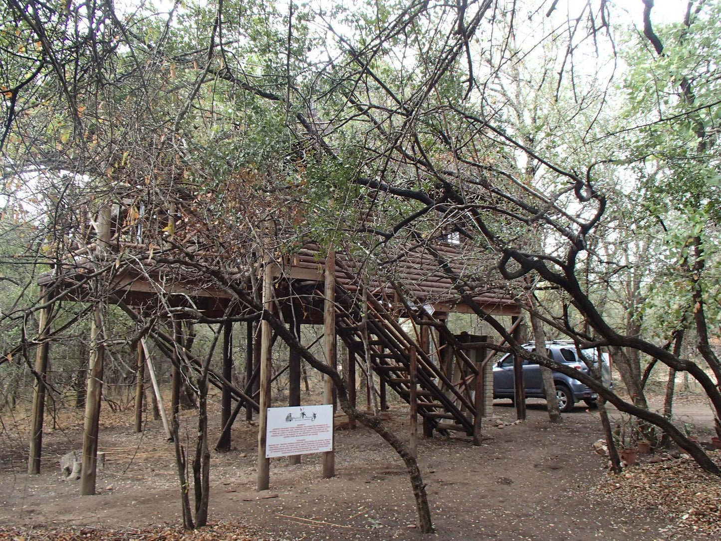 Bushbaby Haven - 3488 Steenbok Street MP @ Marloth Havens