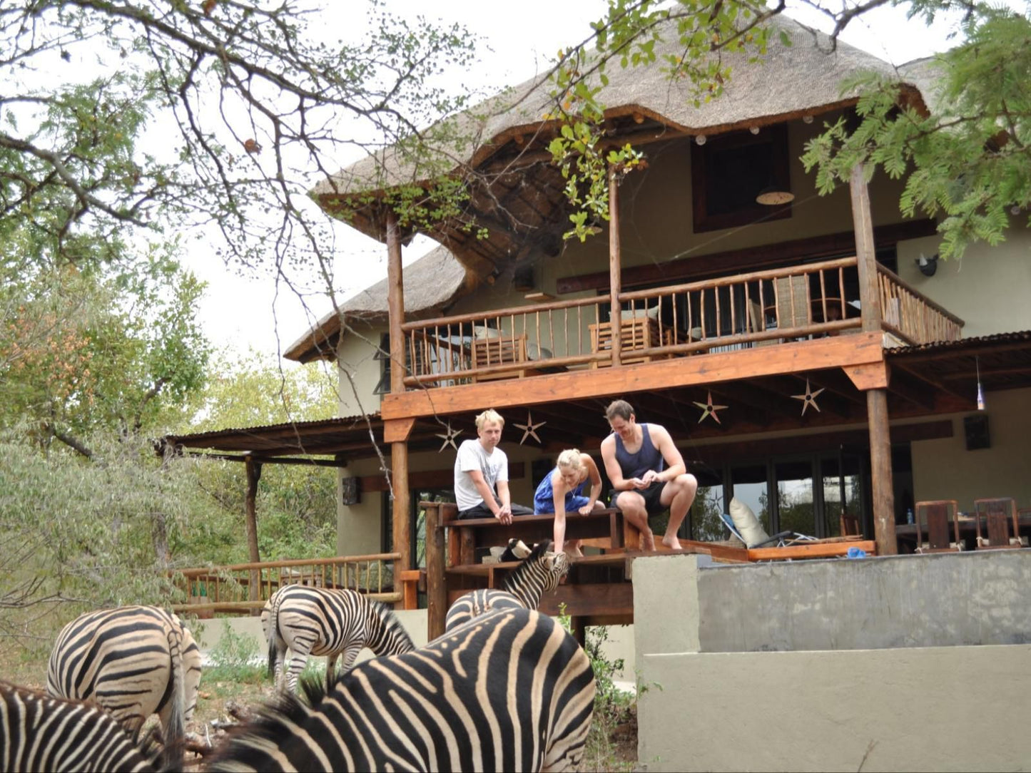 Marloth Kruger Bush Villa, Face, Person, One Face, Building, Architecture, Animal, Frontal Face