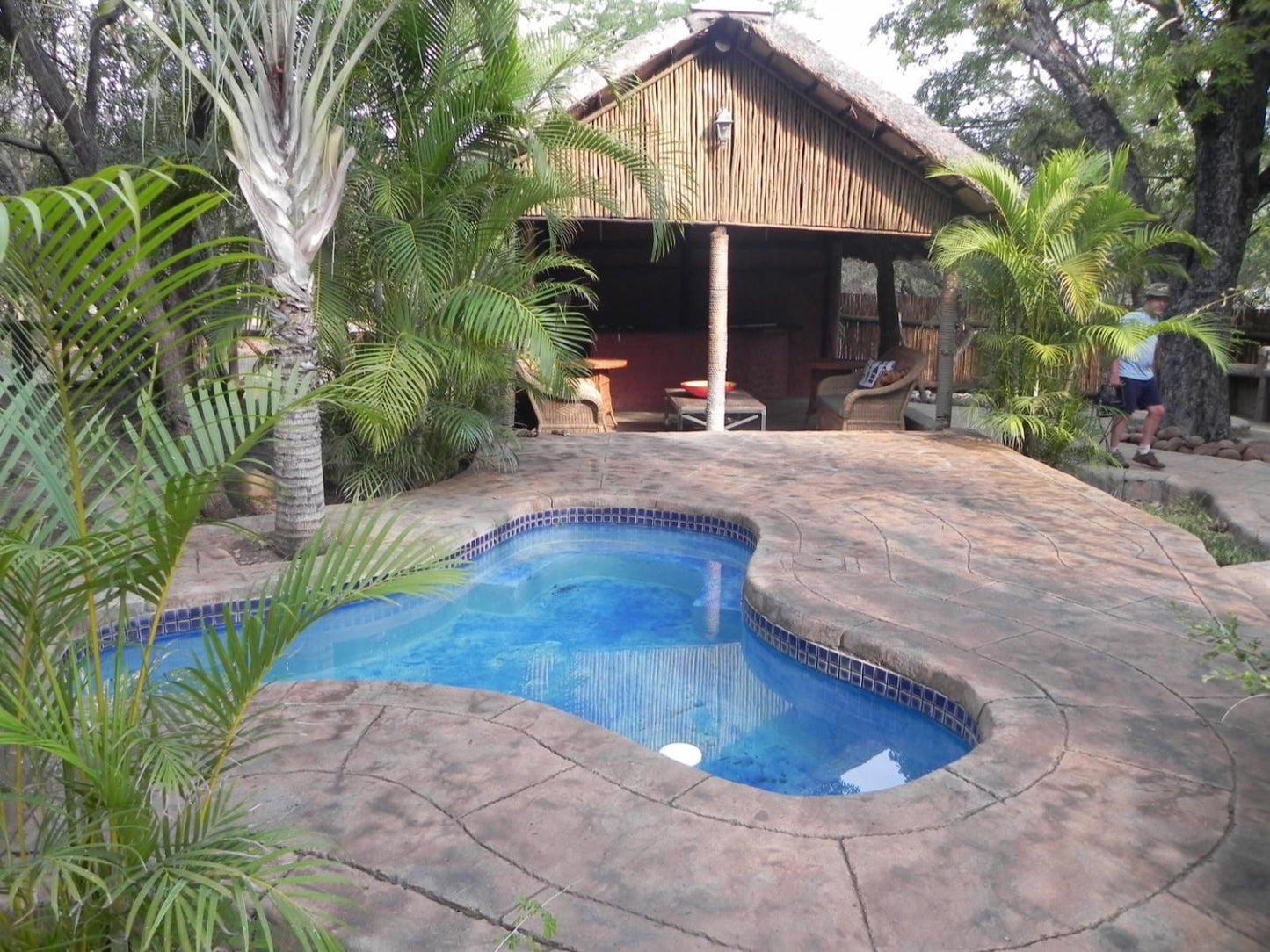 Marloth Kruger Bush Villa, Palm Tree, Plant, Nature, Wood, Swimming Pool, Person