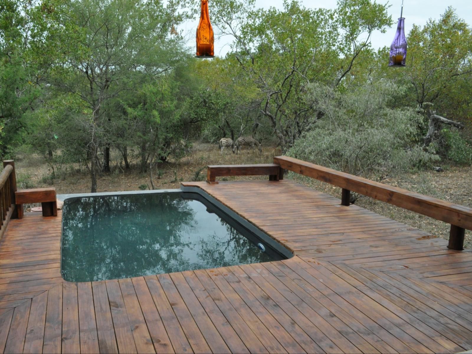 Marloth Kruger Bush Villa, Swimming Pool