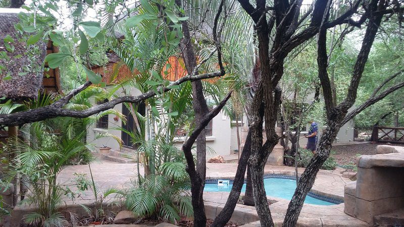 Marloth Kruger Little Manor Marloth Park Mpumalanga South Africa Palm Tree, Plant, Nature, Wood, Garden, Swimming Pool