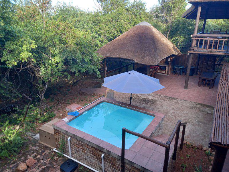 Garden, Nature, Plant, Swimming Pool, Marloth Bush Retreat, Marloth Park, Marloth Park