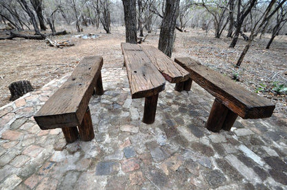 Marloth Getaway Marloth Park Mpumalanga South Africa Unsaturated, Forest, Nature, Plant, Tree, Wood