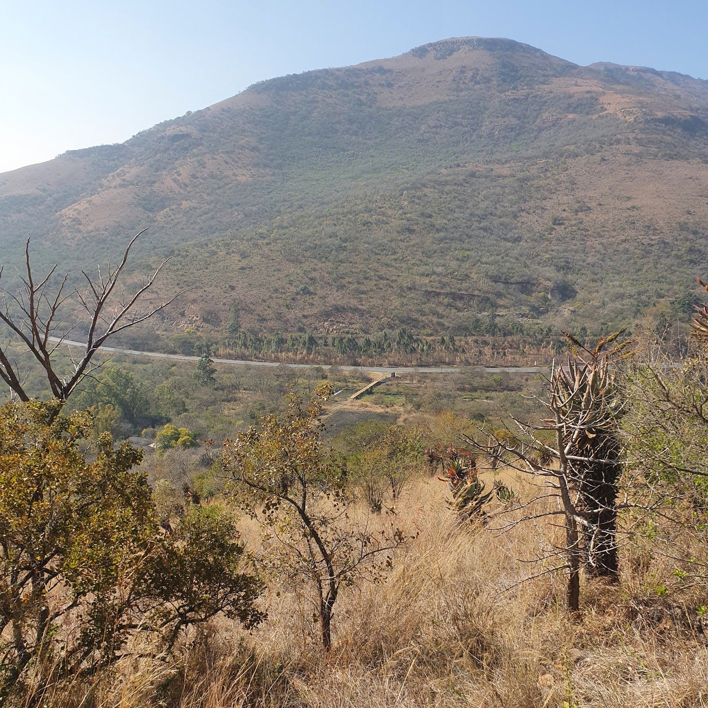 Marlothi Chalets Waterval Onder Mpumalanga South Africa Nature