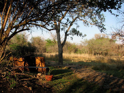 Marloth Park Reverie Safari Lodge Marloth Park Mpumalanga South Africa Tree, Plant, Nature, Wood