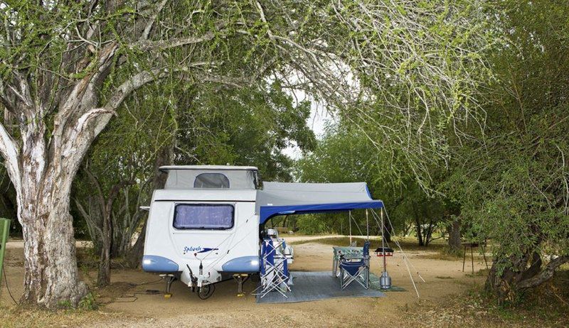 Maroela Camping Site Kruger National Park Sanparks South Kruger Park Mpumalanga South Africa Tent, Architecture