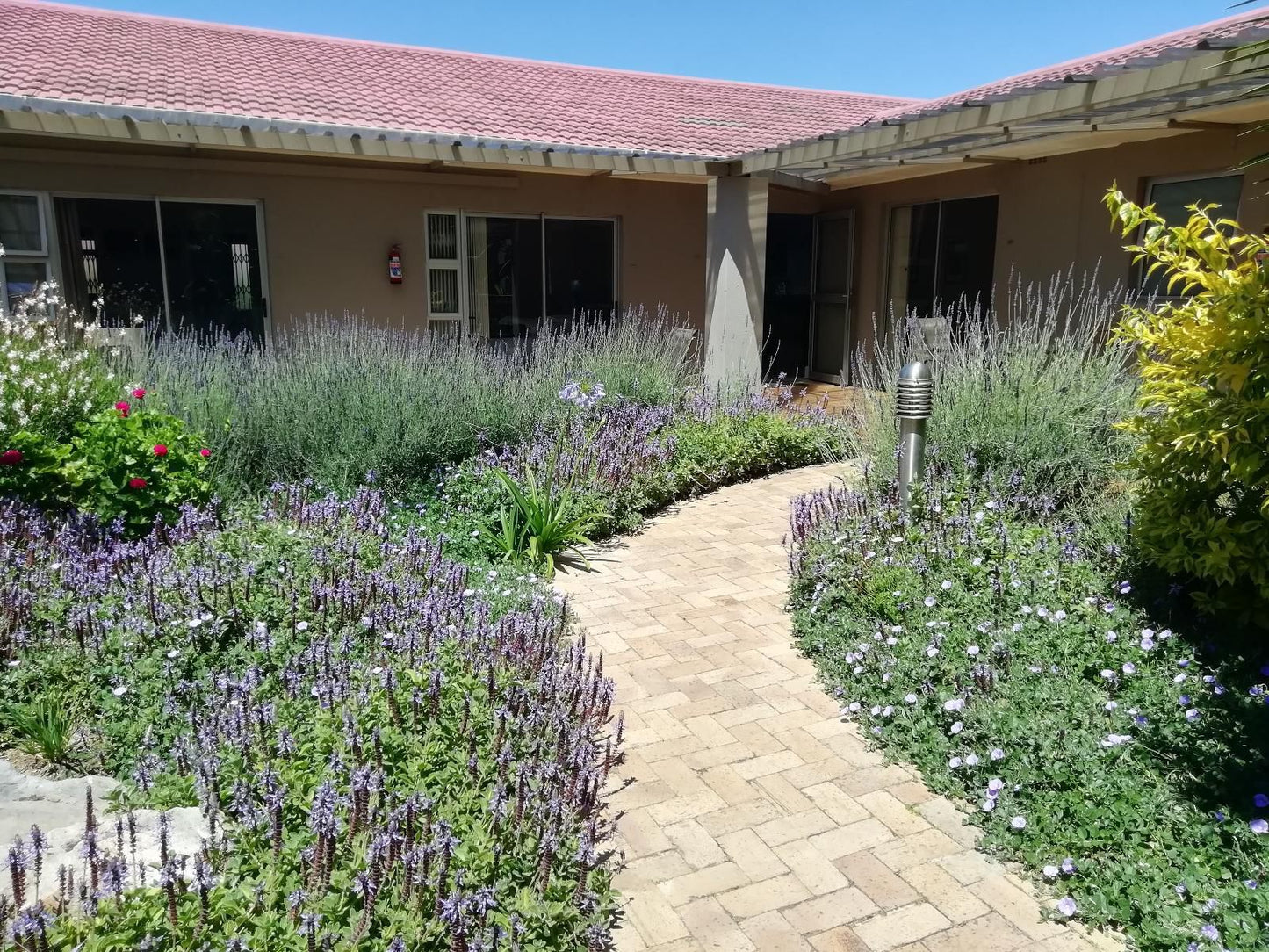 Maroela House Bellville Cape Town Western Cape South Africa House, Building, Architecture, Plant, Nature, Garden