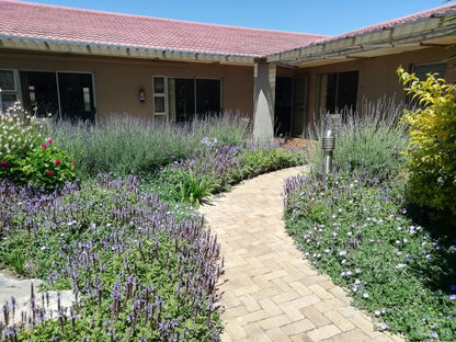 Maroela House Bellville Cape Town Western Cape South Africa House, Building, Architecture, Plant, Nature, Garden