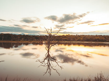 Maroelani Private Nature Reserve, Sepia Tones