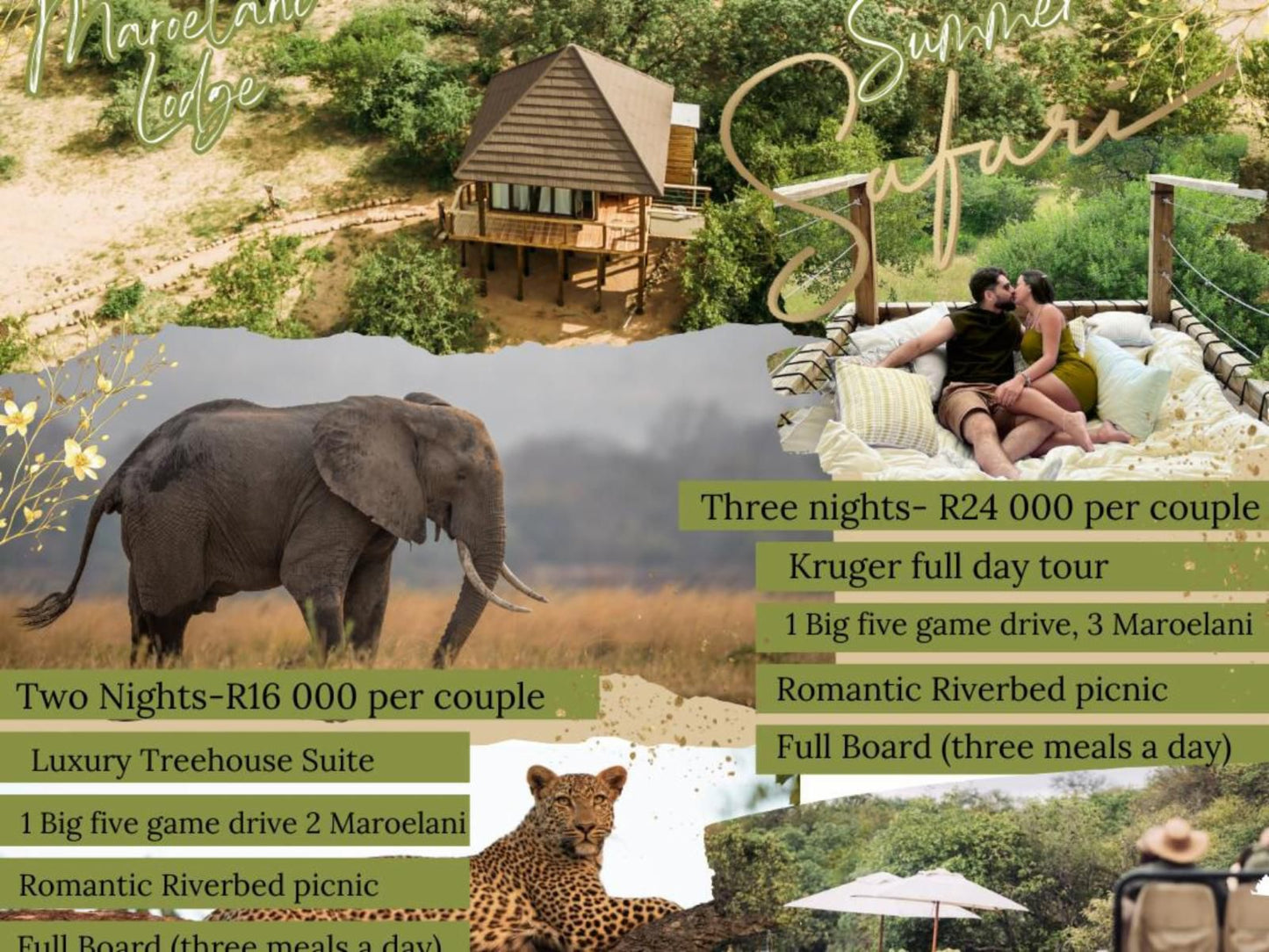 Maroelani Private Nature Reserve, Unit Three: Treehouse Villa, Elephant, Mammal, Animal, Herbivore, Person