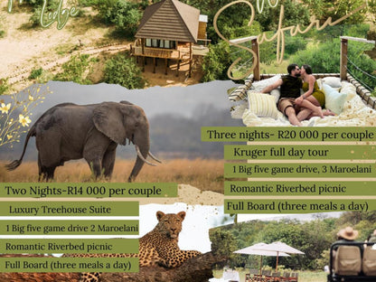 Maroelani Private Nature Reserve, Unit Two: Treehouse Villa, Animal, Person