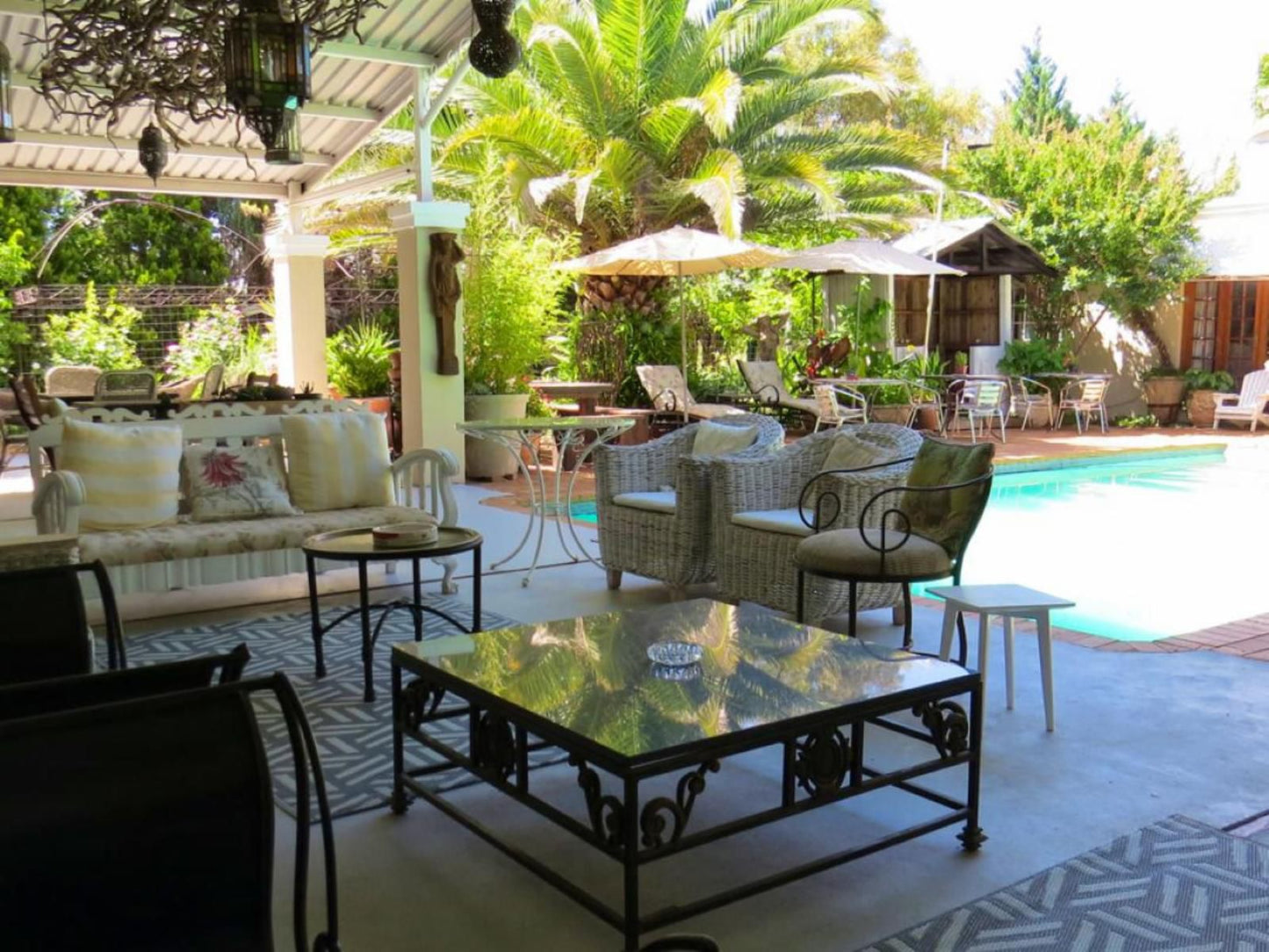 Marrakech Guest House, Palm Tree, Plant, Nature, Wood, Garden, Living Room, Swimming Pool