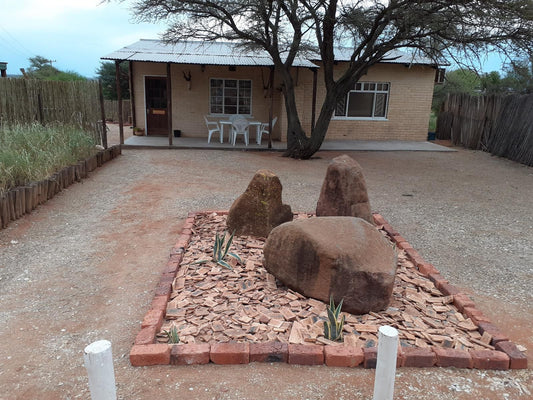 Marrick Safari Kimberley Northern Cape South Africa Cactus, Plant, Nature