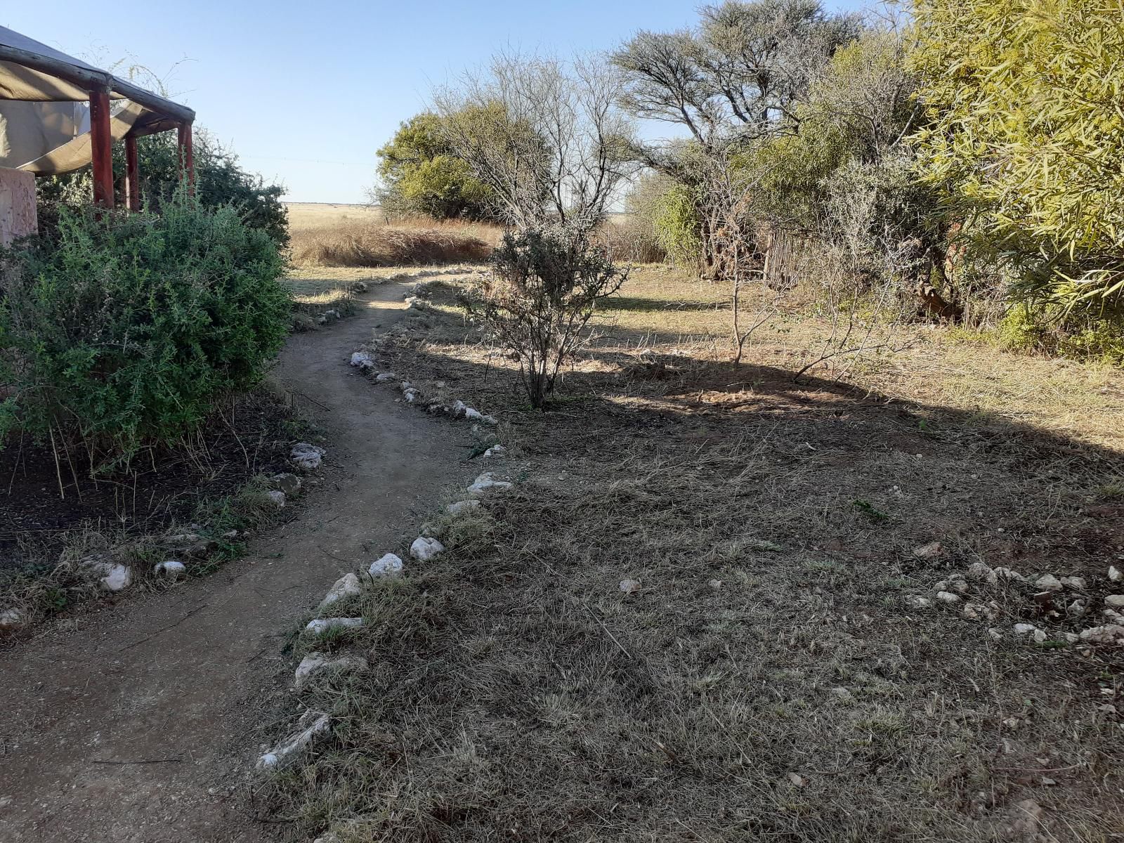 Marrick Safari Kimberley Northern Cape South Africa Cactus, Plant, Nature