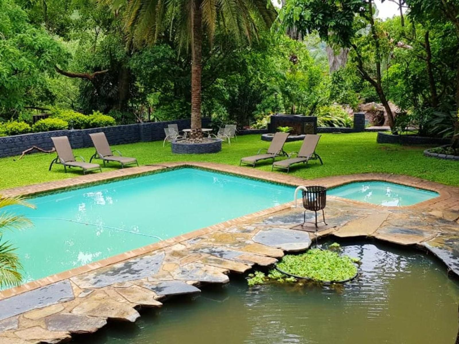 Mh Guest Farm Elandshoek Mpumalanga South Africa Palm Tree, Plant, Nature, Wood, Garden, Swimming Pool