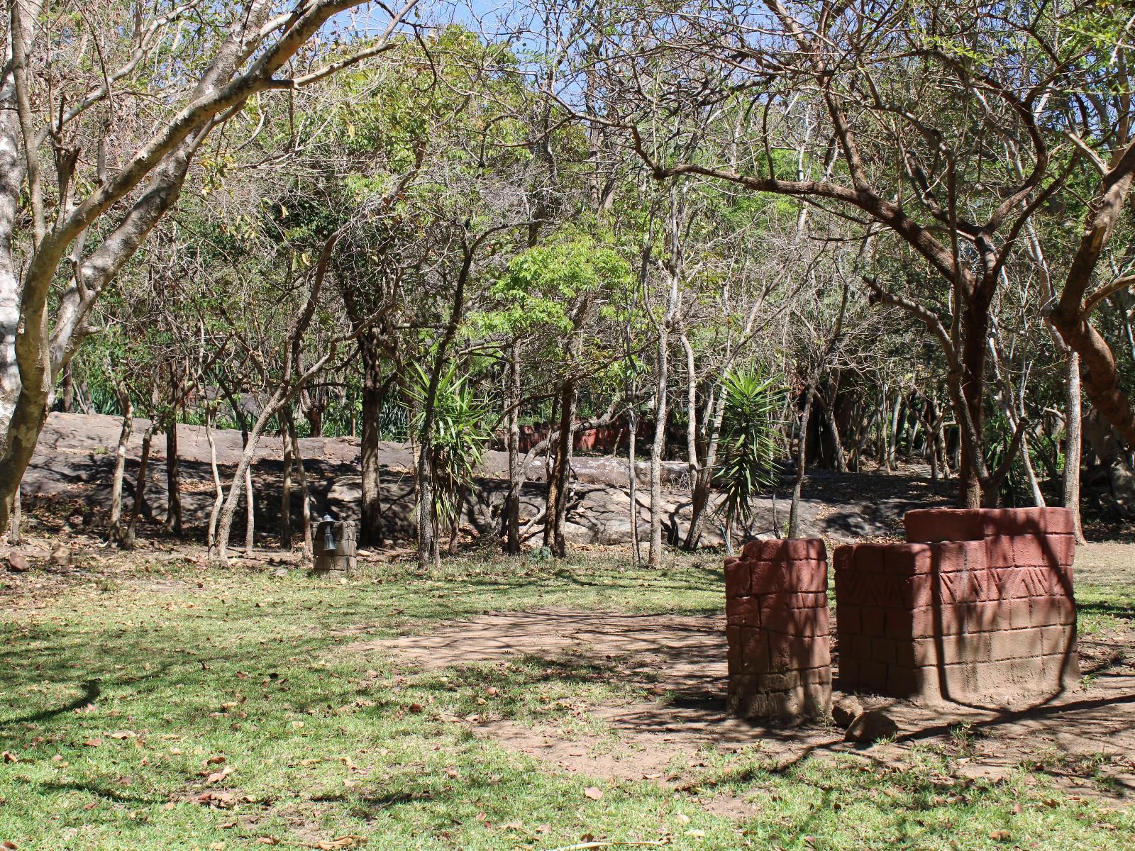 Mh Guest Farm Elandshoek Mpumalanga South Africa Forest, Nature, Plant, Tree, Wood, Ruin, Architecture