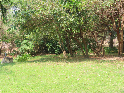 Campsite Tent @ Mh Guest Farm