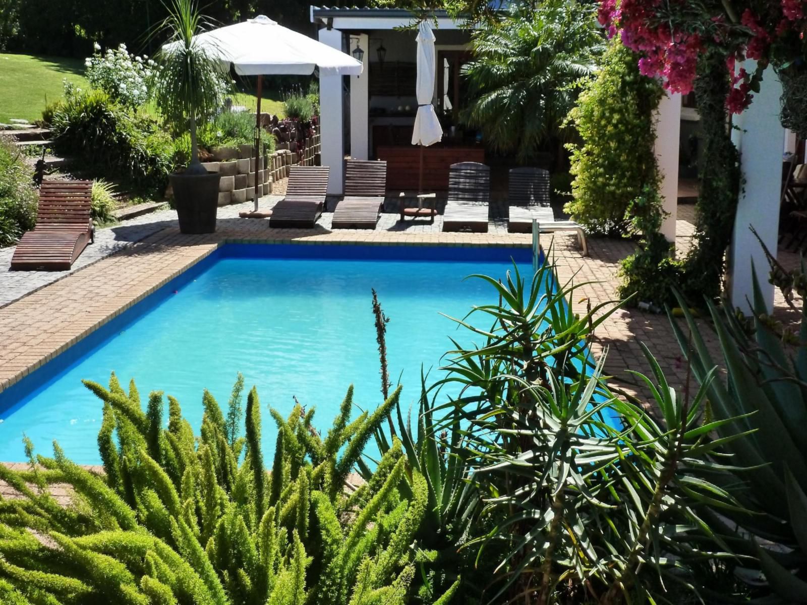 Marula Lodge Guesthouse, House, Building, Architecture, Garden, Nature, Plant, Swimming Pool