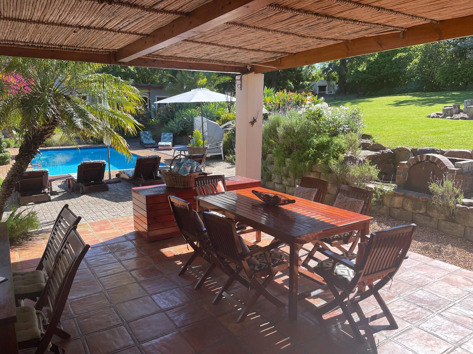 Marula Lodge Guesthouse, Palm Tree, Plant, Nature, Wood, Living Room