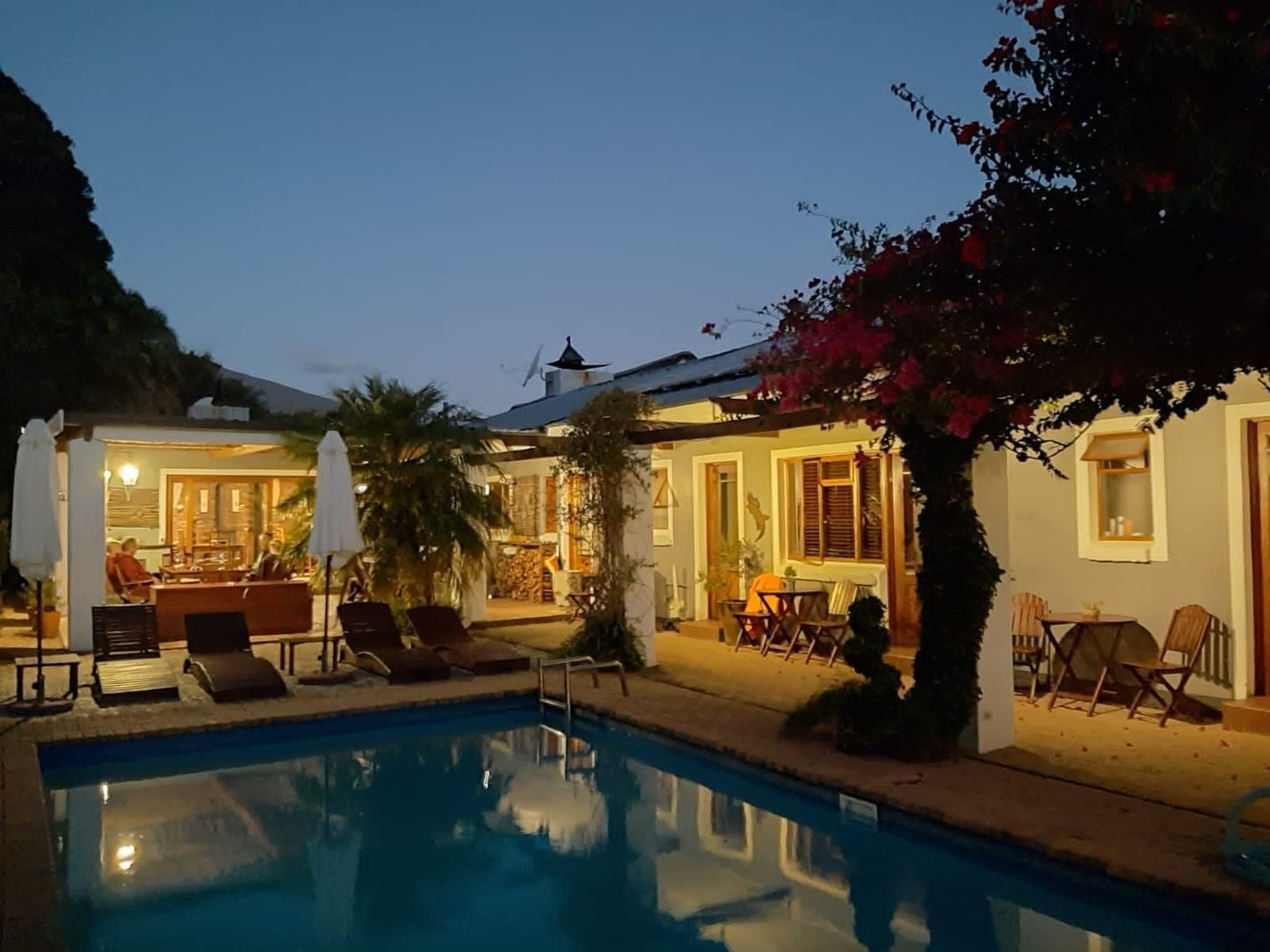 Marula Lodge Guesthouse, House, Building, Architecture, Palm Tree, Plant, Nature, Wood, Swimming Pool