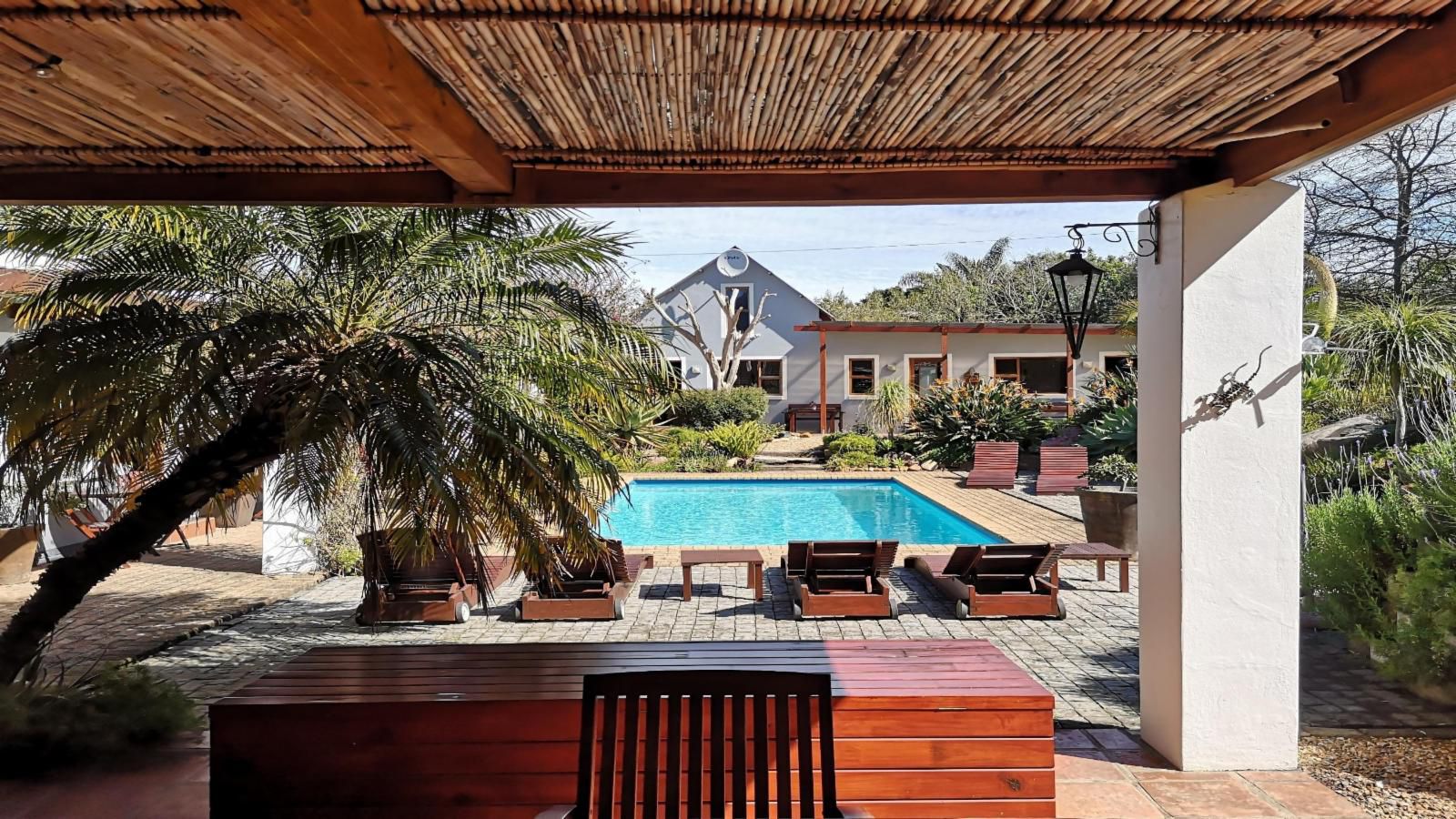 Marula Lodge Guesthouse, House, Building, Architecture, Palm Tree, Plant, Nature, Wood, Swimming Pool