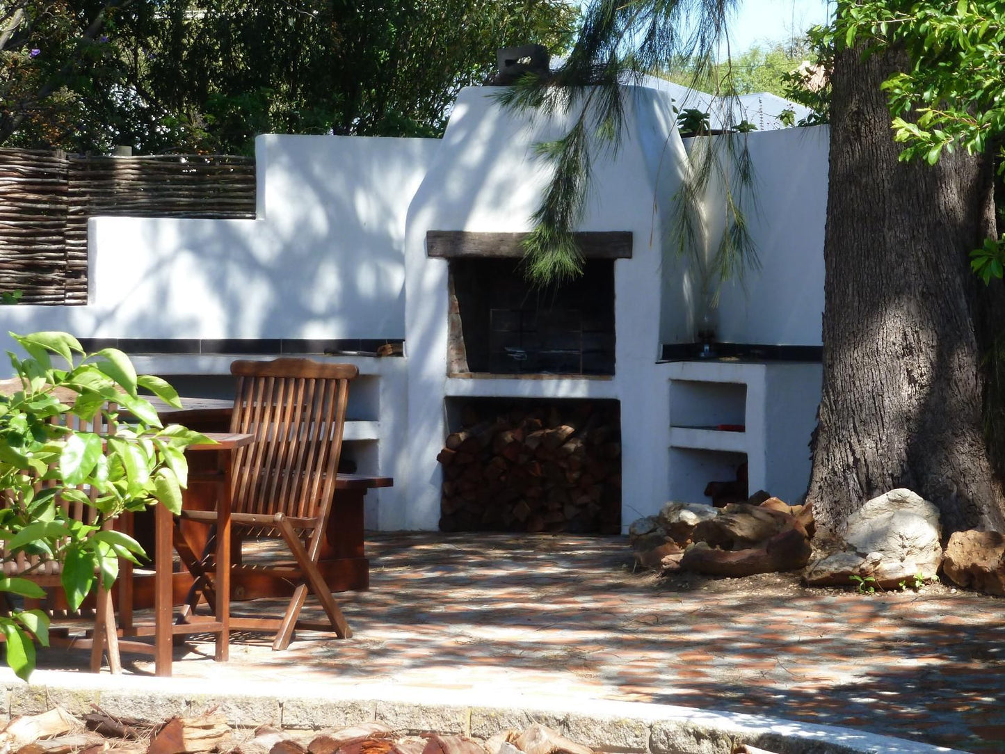 Marula Lodge Guesthouse, Palm Tree, Plant, Nature, Wood