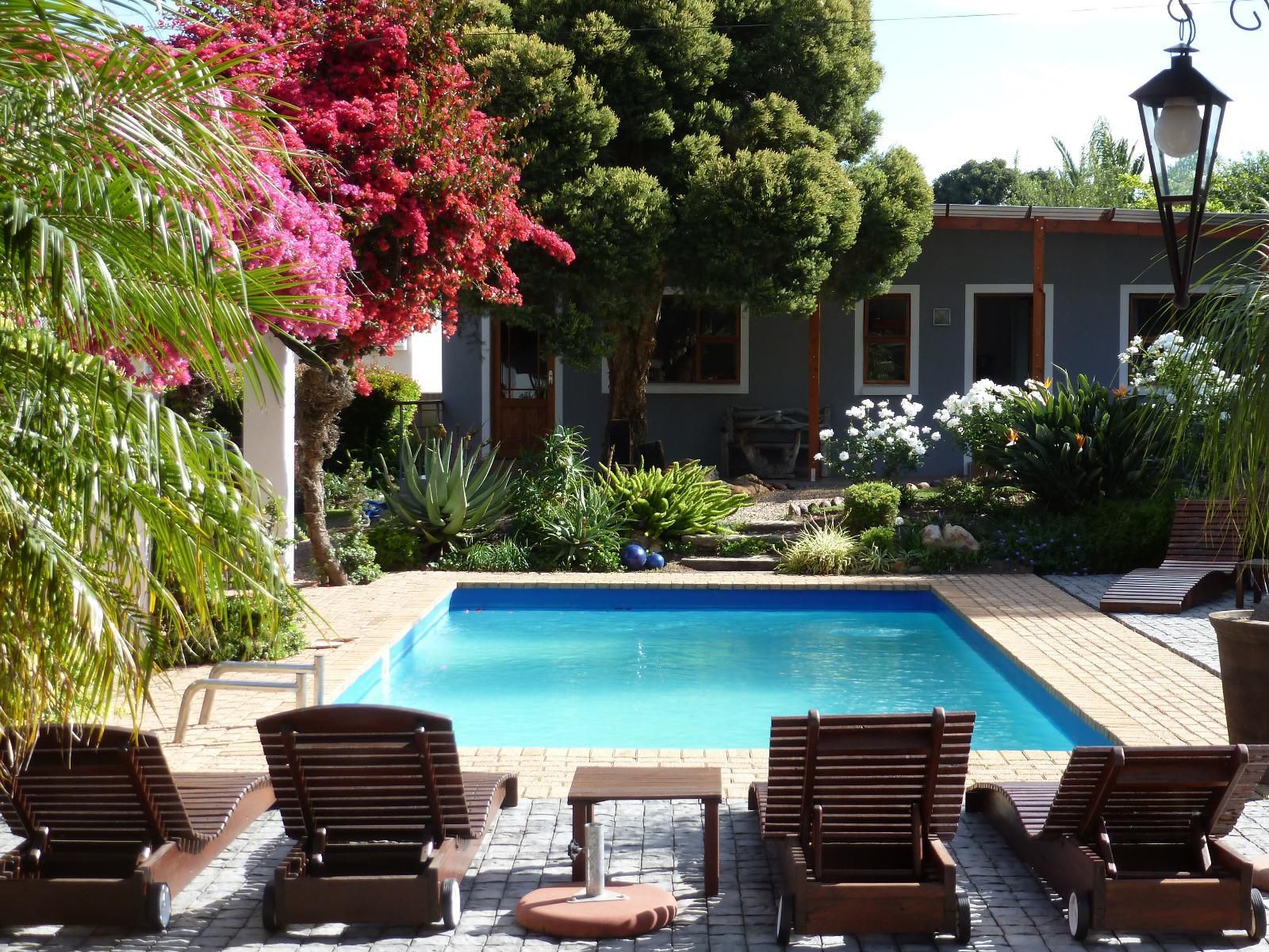 Marula Lodge Guesthouse, House, Building, Architecture, Palm Tree, Plant, Nature, Wood, Garden, Swimming Pool