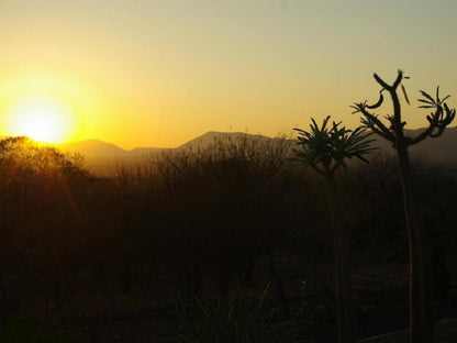 Marula Cottage Guest Lodge Thabazimbi Limpopo Province South Africa Sepia Tones, Nature, Sunset, Sky