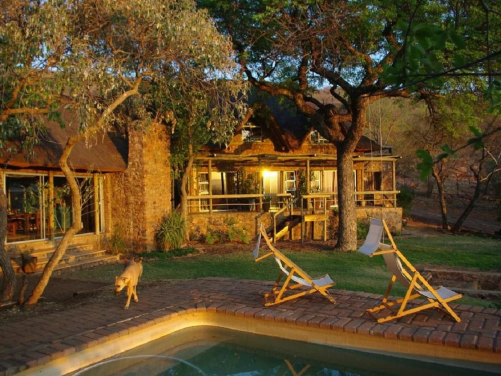 Marula Cottage Guest Lodge Thabazimbi Limpopo Province South Africa Swimming Pool