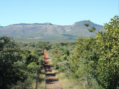 Marula Cottage Guest Lodge Thabazimbi Limpopo Province South Africa Complementary Colors, Forest, Nature, Plant, Tree, Wood