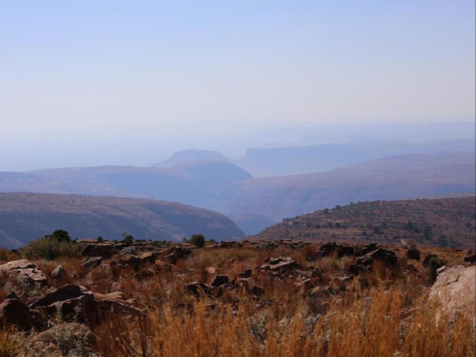 Marula Cottage Guest Lodge Thabazimbi Limpopo Province South Africa Nature