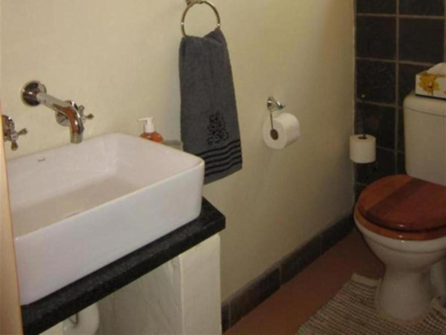 Marula Cottage Guest Lodge Thabazimbi Limpopo Province South Africa Sepia Tones, Bathroom
