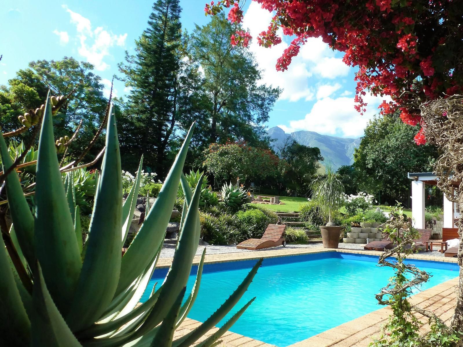 Marula Lodge Swellendam Western Cape South Africa Garden, Nature, Plant, Swimming Pool