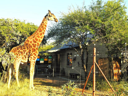 Hak en Steek @ Marulani Bush Lodge