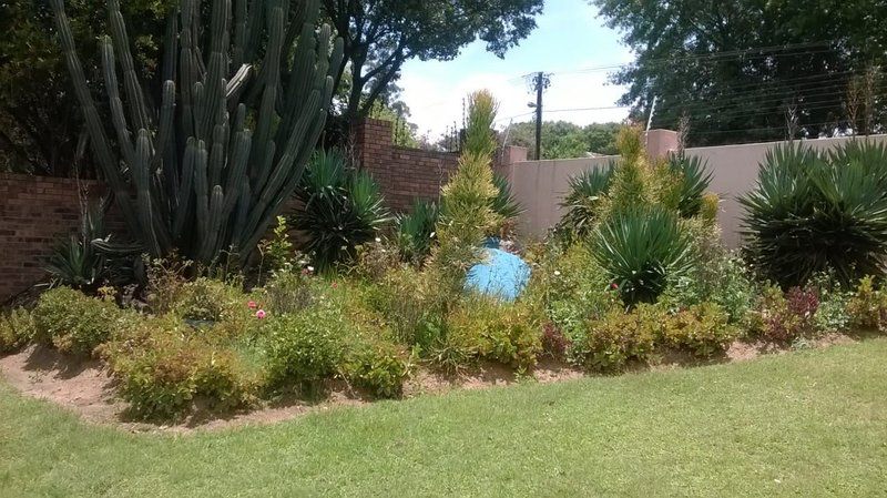 Mary Ana Guest House Kelvin Johannesburg Gauteng South Africa Cactus, Plant, Nature, Palm Tree, Wood, Garden, Swimming Pool