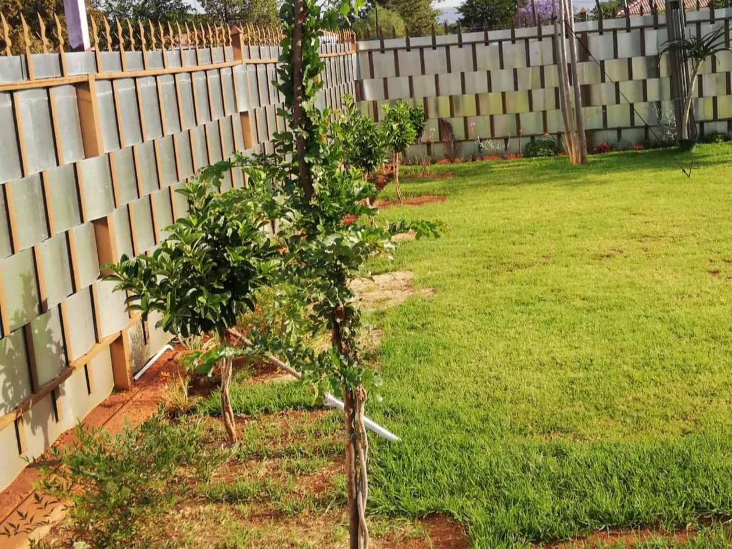 Masane Lodge, Plant, Nature, Tree, Wood, Garden