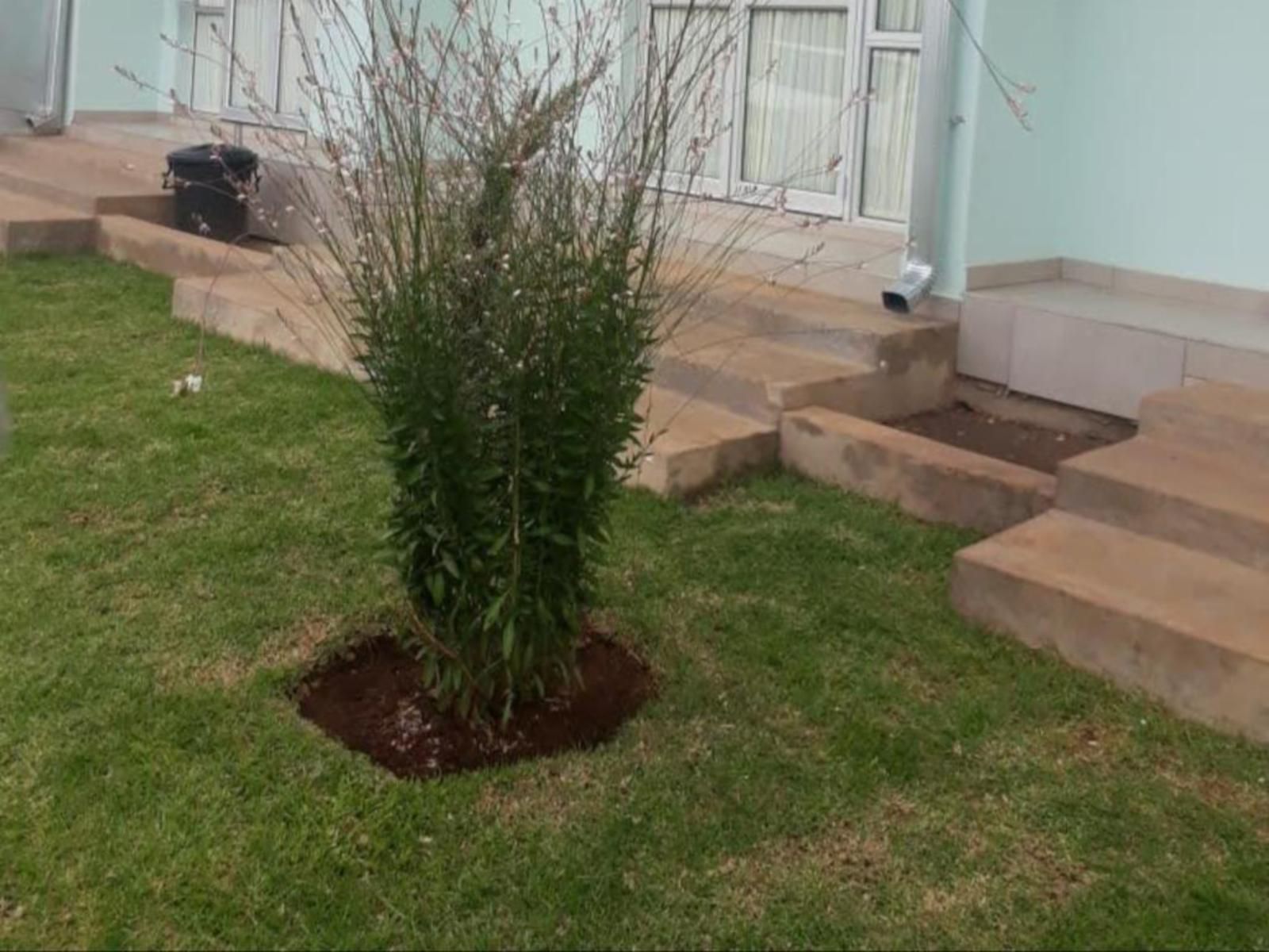 Masane Lodge, Garden, Nature, Plant