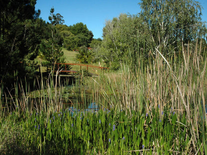 Masescha Country Estate Harkerville Plettenberg Bay Western Cape South Africa Plant, Nature, Garden