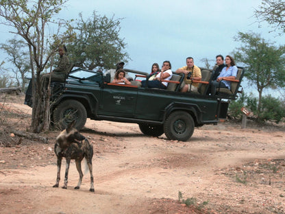 Masodini Game Lodge, Face, Person, Group, Quad Bike, Vehicle, Animal, Frontal Face