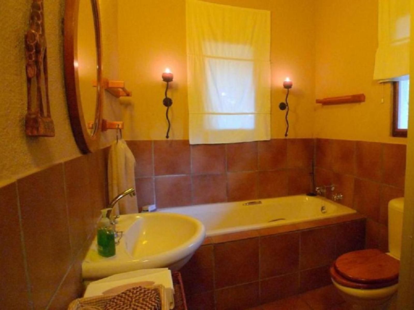 Masodini Private Game Lodge Balule Nature Reserve Mpumalanga South Africa Colorful, Bathroom