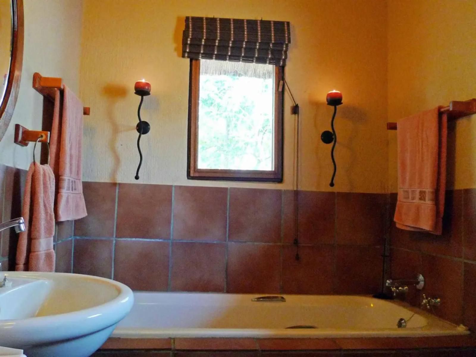 Masodini Private Game Lodge Balule Nature Reserve Mpumalanga South Africa Bathroom