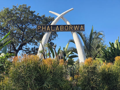 Masorini Bush Lodge, Palm Tree, Plant, Nature, Wood, Sign