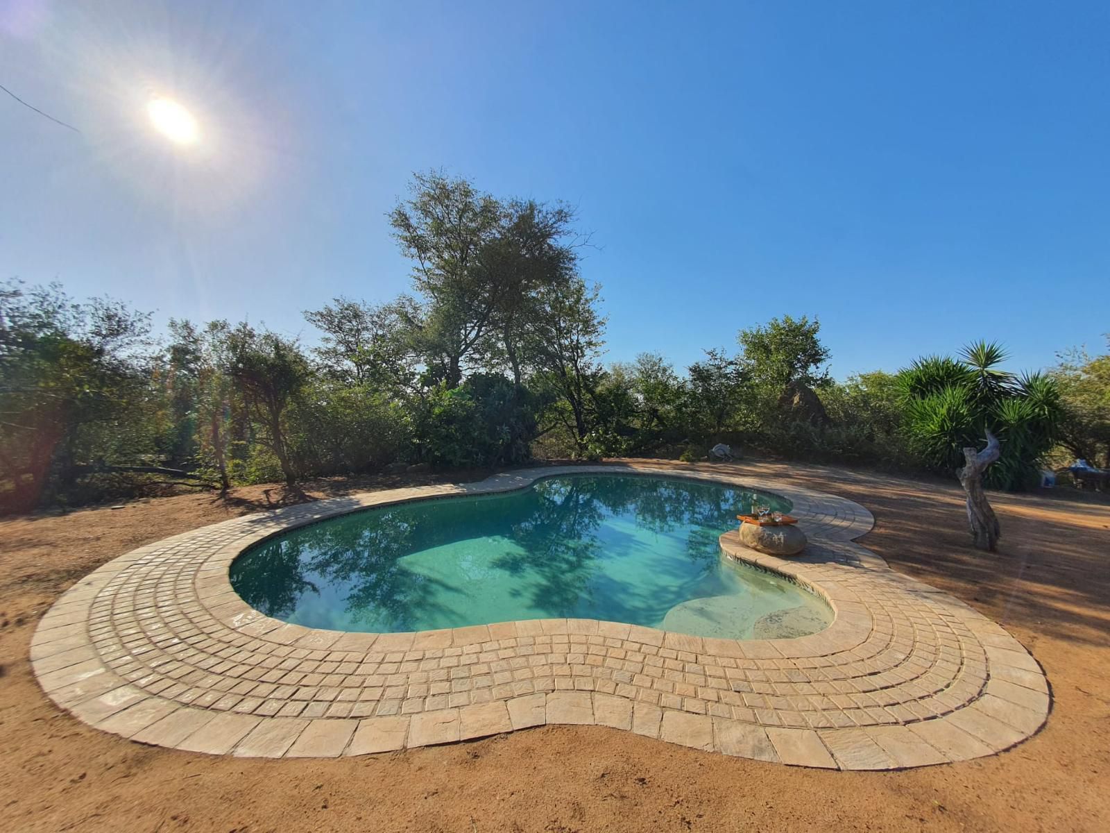 Masorini Bush Lodge, Garden, Nature, Plant, Swimming Pool