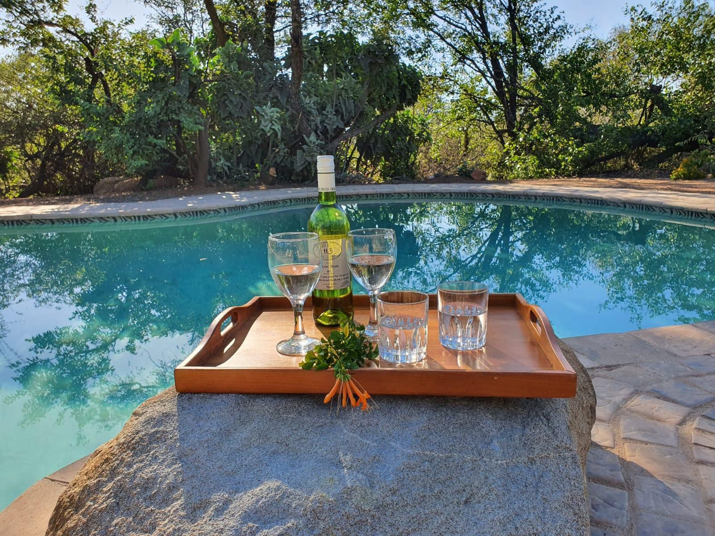 Masorini Bush Lodge, Food, Swimming Pool