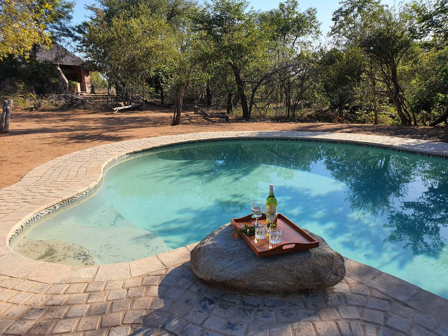 Masorini Bush Lodge, Swimming Pool